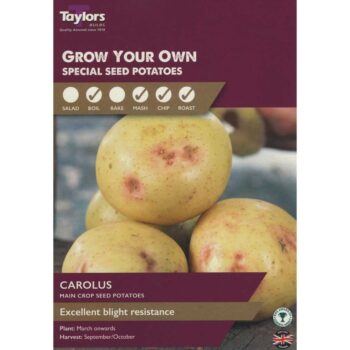 Carolus Taster Main Crop