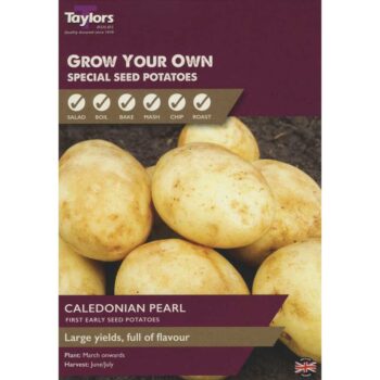 Caledonian Pearl Taster First Early