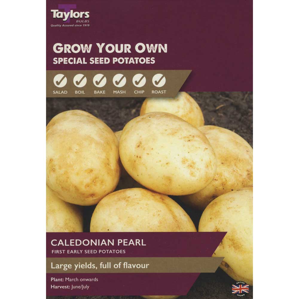 Caledonian Pearl Taster First Early Caledonian Pearl Taster First Early