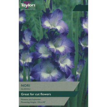 Gladioli Nori