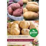 Potato June to October Harvest Collection
