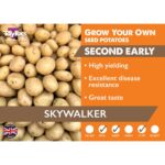 Skywalker Second Early 2kg