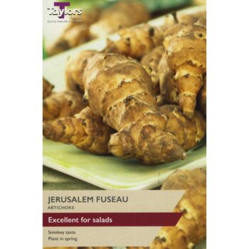 Jerusalem Artichoke Fuseau