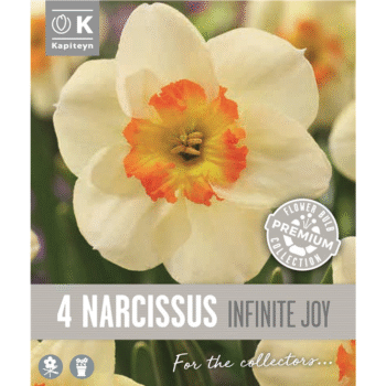 Narcissus Infinite Joy