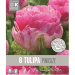 Tulip Pinksize