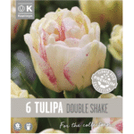 Tulip Double Shake