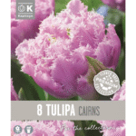 Tulip Cairns