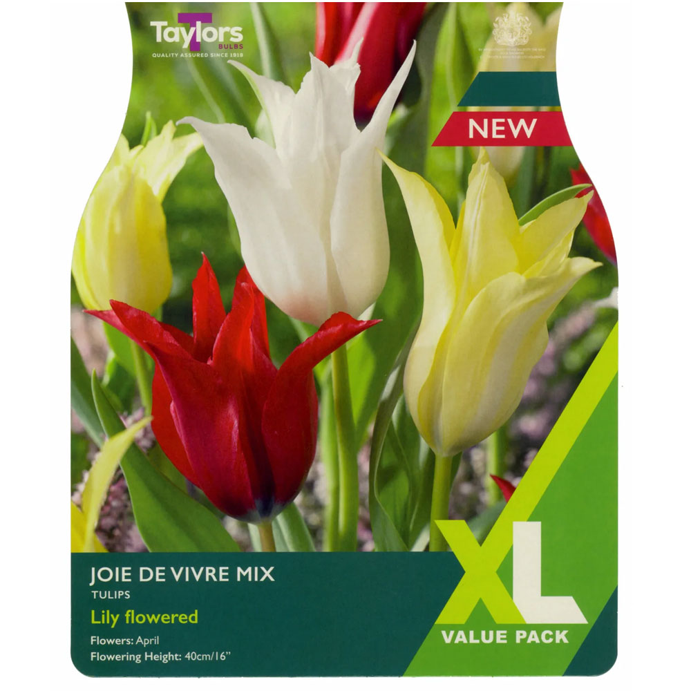 Tulip Joie De Vivre Mix Tulip Joie De Vivre Mix