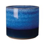 Ocean Mixed 30cm