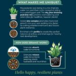 Houseplant Potting Mix Peat Free 4L - Image 2