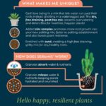 Cacti & Succulent Potting Mix Peat Free 4L - Image 2