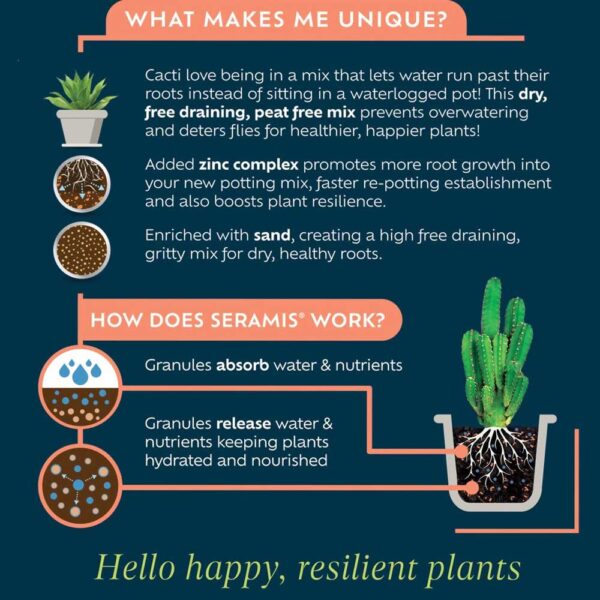 Cacti & Succulent Potting Mix Peat Free 4L - Image 2