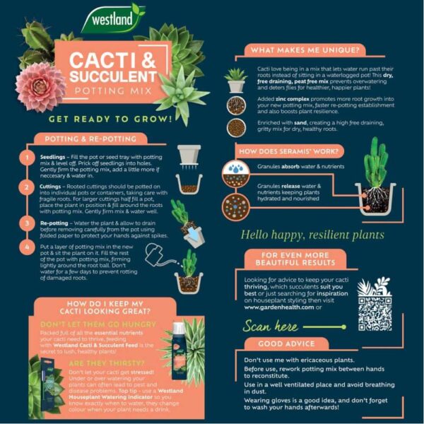 Cacti & Succulent Potting Mix Peat Free 4L - Image 3