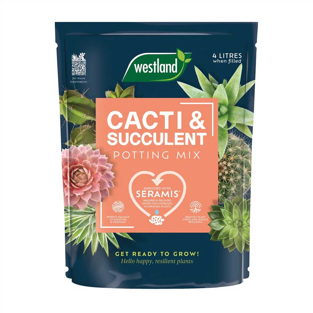 5023377025020 Cacti & Succulent Potting Mix Peat Free 4L - Image 1