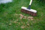 Horticultural Sharp Sand Large - Image 2