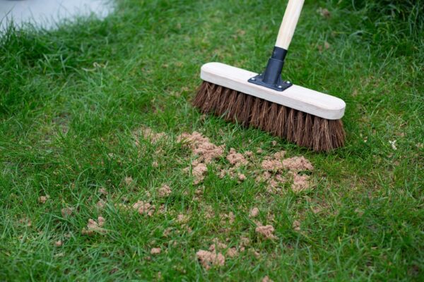 Horticultural Sharp Sand Large - Image 2