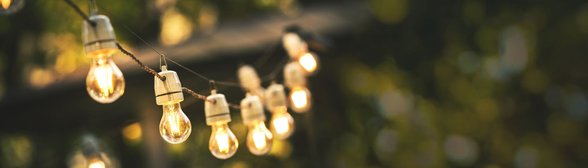 String lights hanging outdoors in a garden at dusk