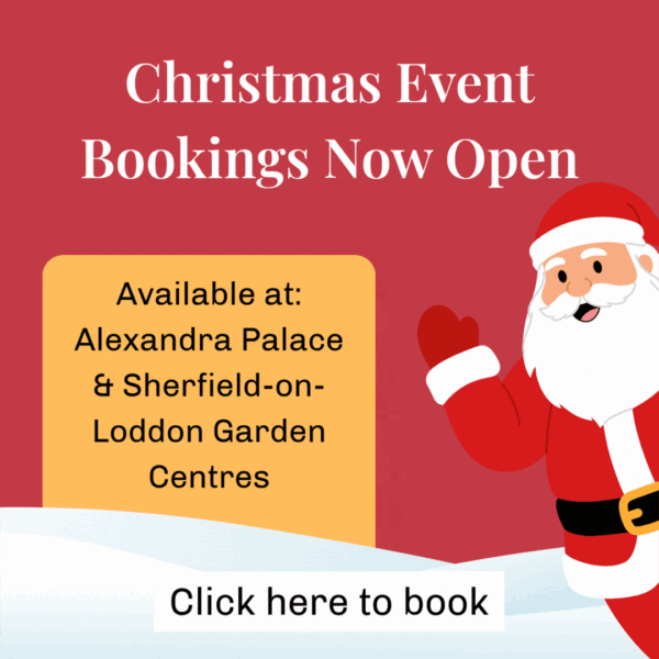 Christmas event bookings now open at Alexandra Palace and Sherfield-on-Loddon Garden Centres