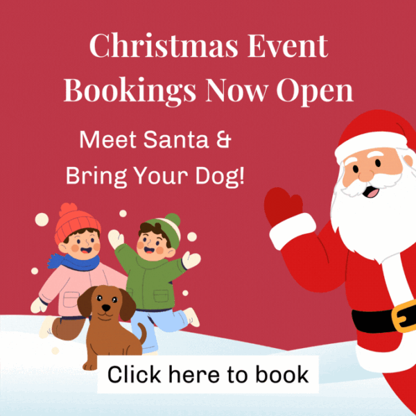 Illustration of Santa waving beside two children and a dog playing in the snow, with text reading Christmas Event Bookings Now Open, Meet Santa & Bring Your Dog!, and Click here to book