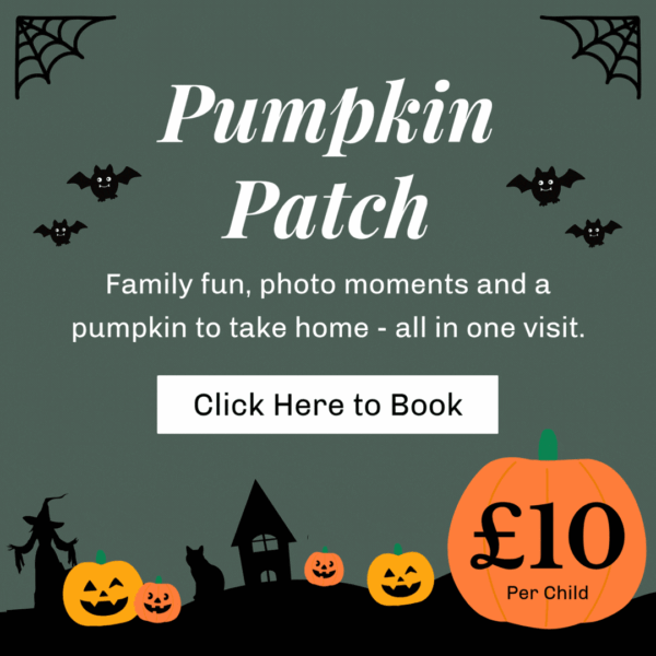 Capital Gardens Pumpkin Patch family event with activities and a pumpkin to take home