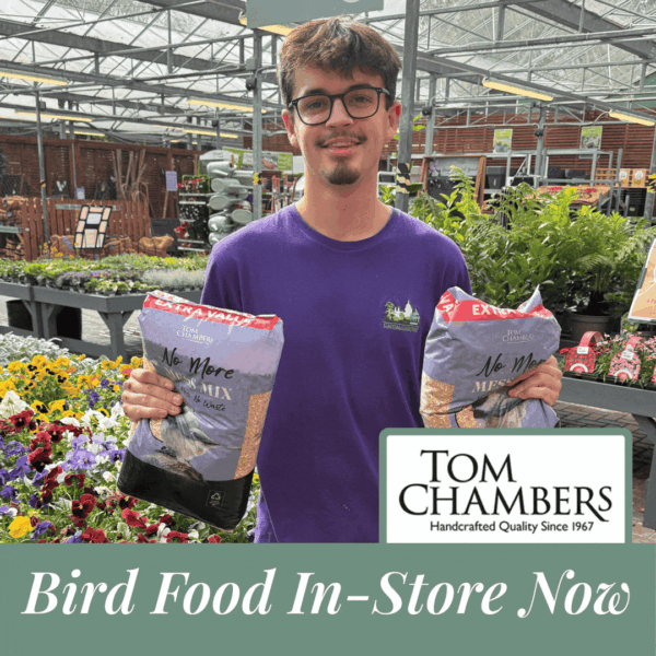 Capital Gardens team member holding bags of Tom Chambers No More Mess bird food in a garden centre